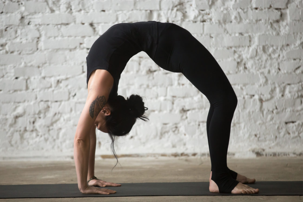 Urdhva Dhanurasana / Upward Bow Pose