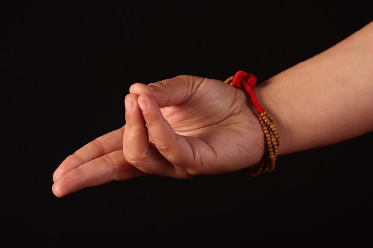 Prana Mudra Treats Diabetes