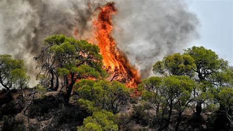 wildfires in Greece, Forest fires, 